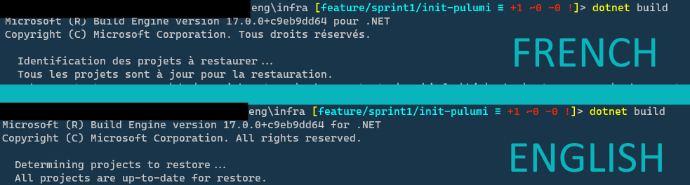 .NET CLI language change in terminal.
