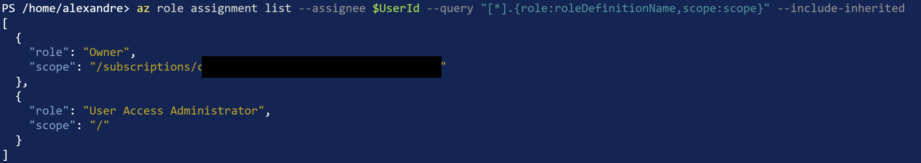 Terminal showing az role assigment command.